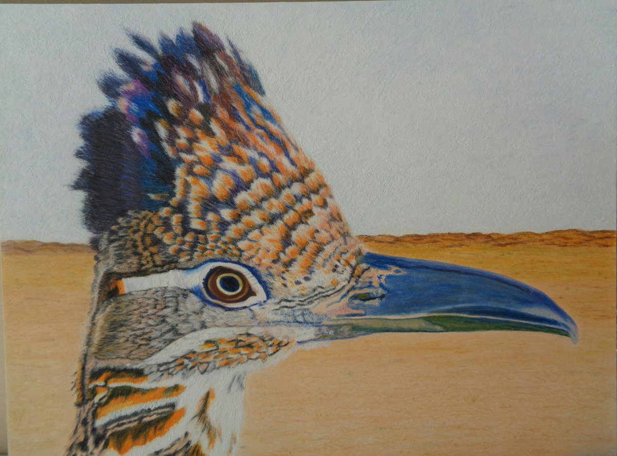 AlisaGarvey's tweet photo. #Art #ArtistOnTwitter #Artists #artlovers #southwestart #southwest #roadrunner #roadrunnerart #oilpastel #oilpastelart #painting #artist #artwork #painter #wildlifeartist #southwestpainting https://t.co/amWjxRodHd