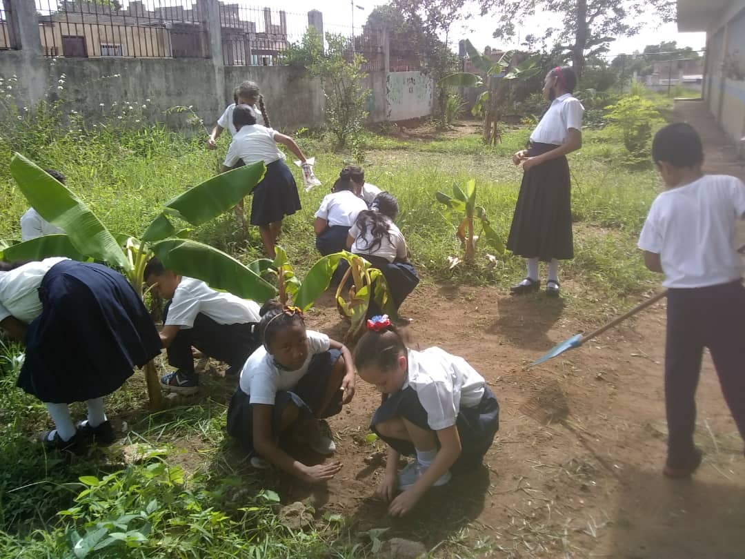 1/2 La fundación Misión Árbol y la UTEC Bolívar, desde el municipio Caroní en conjunto con la comunidad educativa de San José de Cacahual, realizó una reforestación y capacitación 
para la producción de rubros agricola, 
#ForoDeSãoPauloEsIntegración
