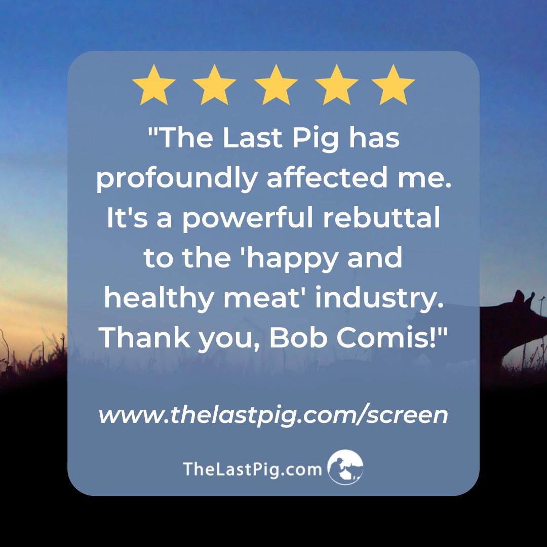"The Last Pig has profoundly affected me. It's a powerful rebuttal to the 'happy and healthy meat' industry. Thank you, Bob Comis!"

Thank you for the wonderful review! 

Stream The Last Pig: thelastpig.com/screen

#thelastpig #documentary #nowstreaming