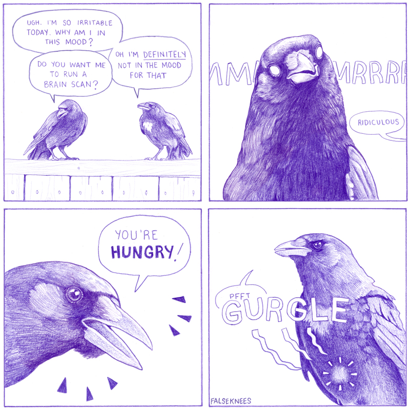 False Knees tweet media