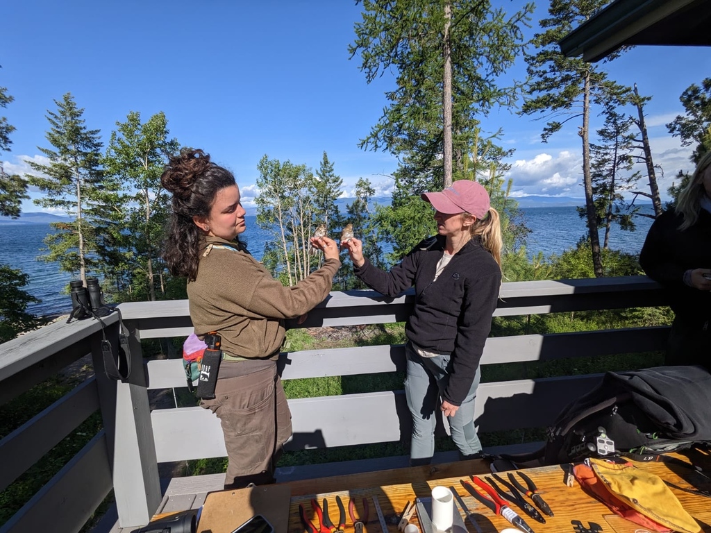 umbirdecology's tweet photo. Last week #UMBEL biologists Holly Garrod and Mary Venegas visited the Flathead Lake Biological Station (FLBS) to give a #BirdBanding demonstration.
Students practiced their bird ID skills and learned all about the process of bird banding - from capture to banding to release! https://t.co/2Wc6GbMW8y