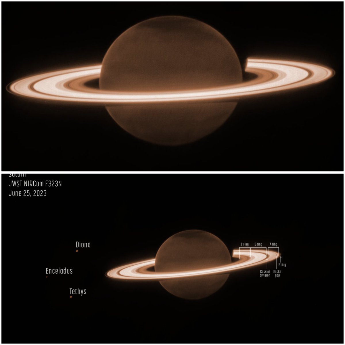 Informa Cosmos tweet media