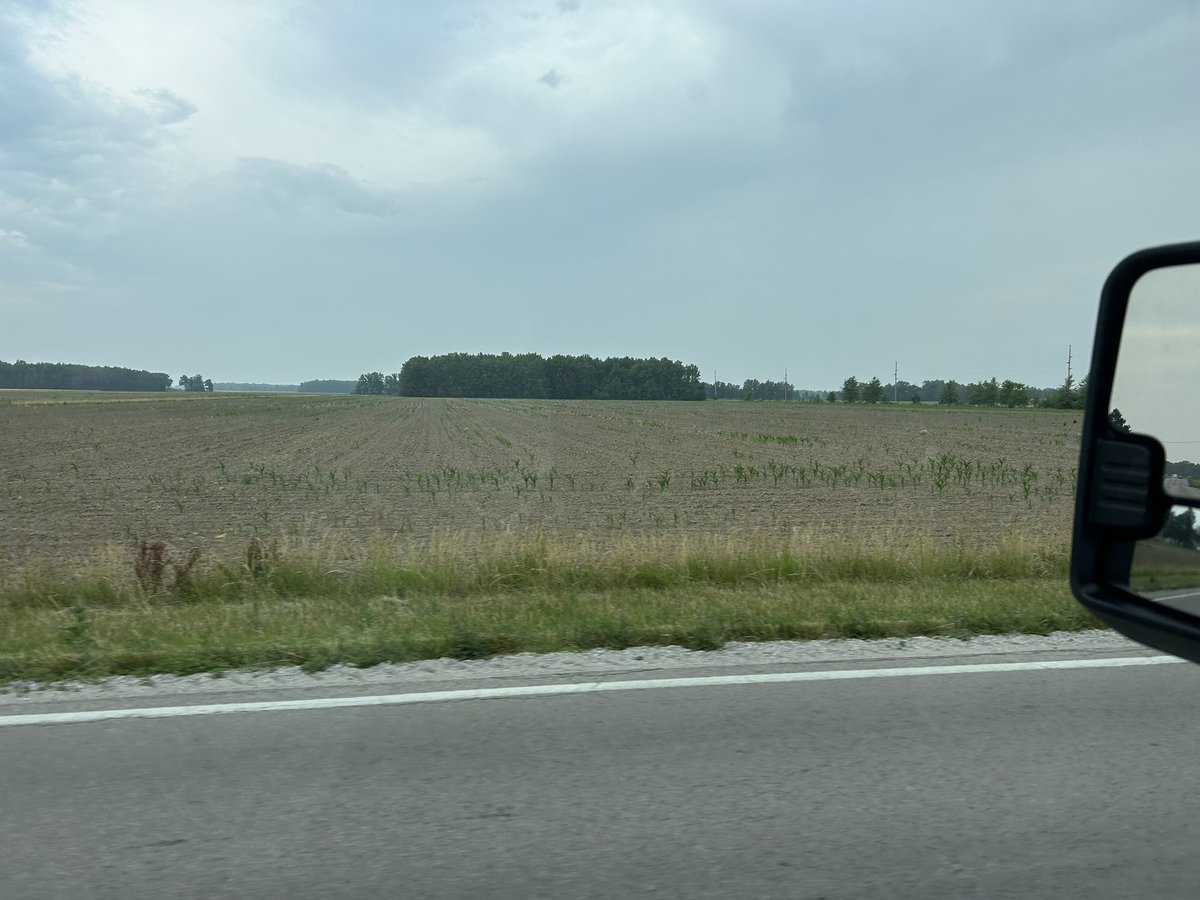 Cody Etter tweet media