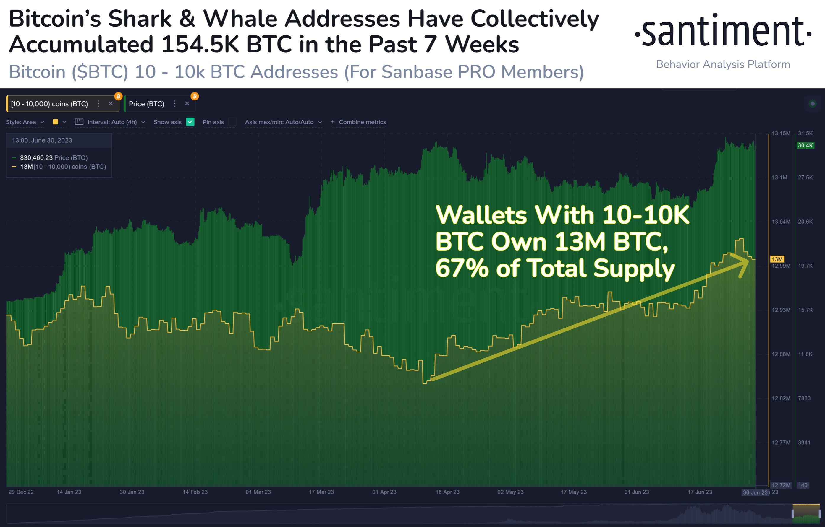 Bitcoin Sharks & Whales