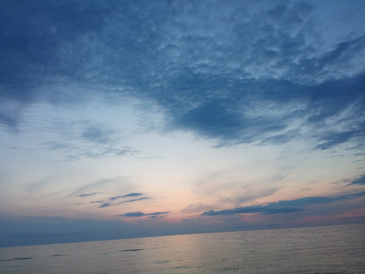 Kristinesk2 (@kristinesk22) on Twitter photo 