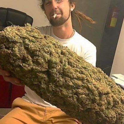 Cannabis Training University tweet media