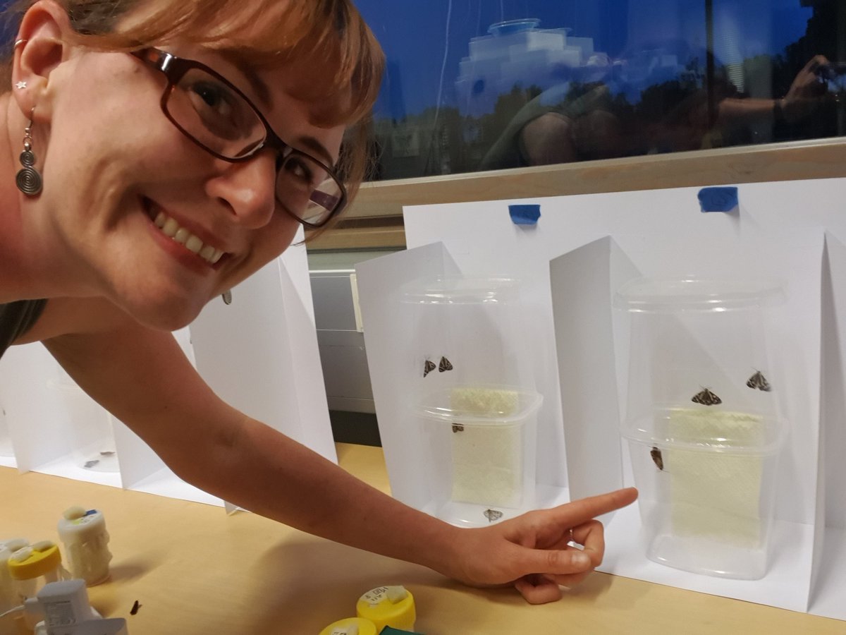 Sandra Winters tweet media