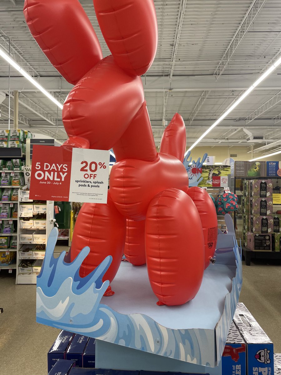 Damon K 🎤 tweet media