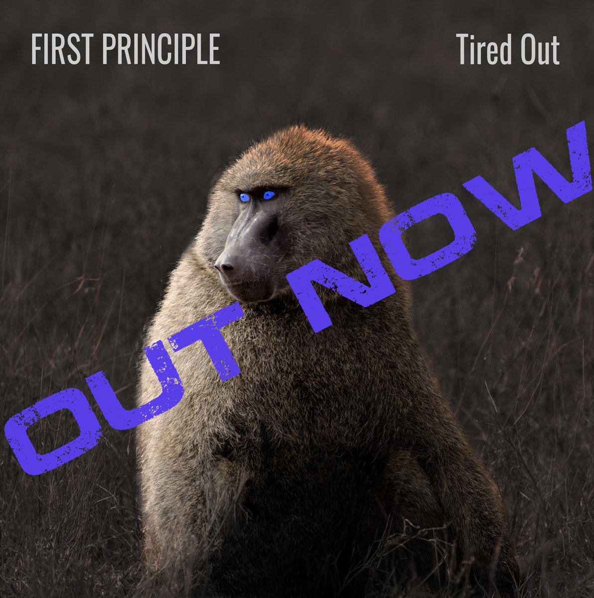 Our second single OUT NOW! #firstprinciple #tiredout #londonmusic #slideguitar #newmusic