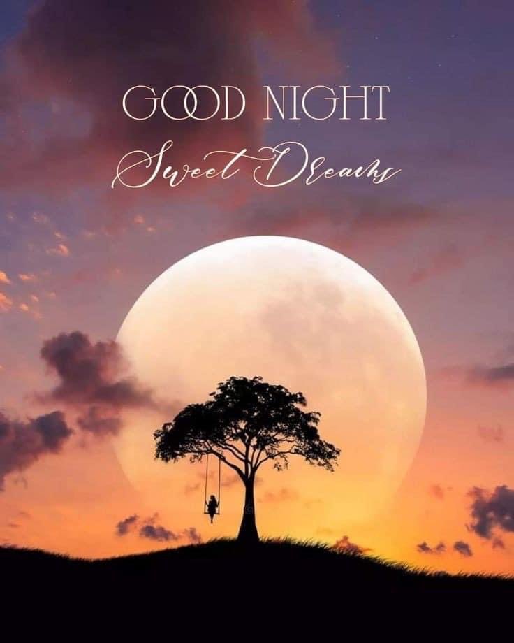 debbilicious335's tweet photo. Good night, sweet dreams 🛌😴💤 https://t.co/pSea9ztXkY