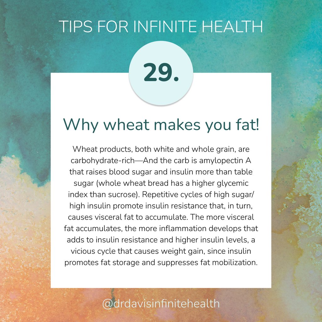 Escape the weight-gain trap by understanding the relationship between wheat, insulin, and fat storage. l8r.it/qe5v #cleaneating #guthealth #healthtips #healthyliving #supergut #wellbeing #nutritiontips #healthychoices #healthylifestyle #superfoods #infinitehealth