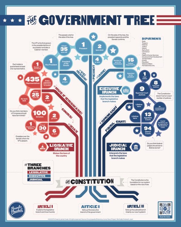 The Government Tree courtesy of <a href="/periodicprez/">Periodic Presidents</a> #apgov #hsgovchat #Civics #Government