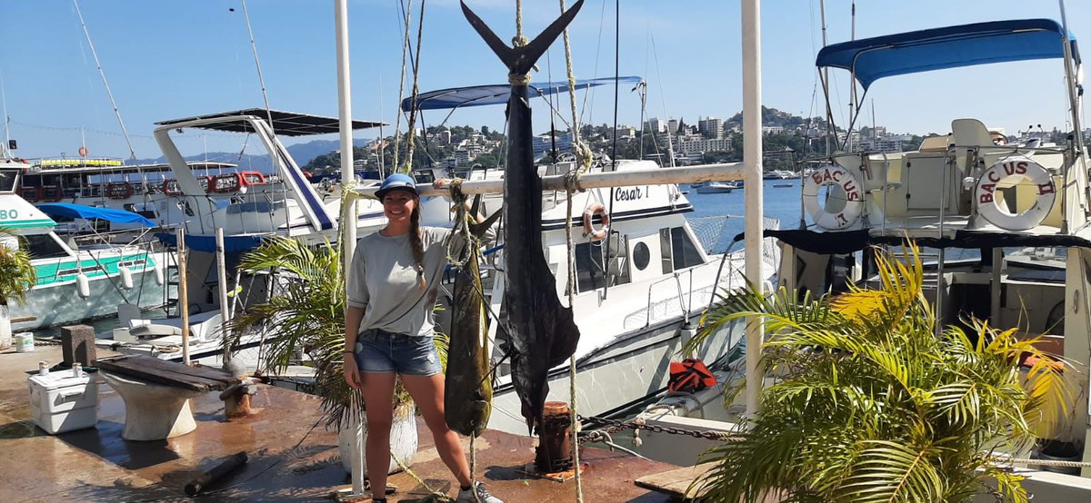 solimperialaca's tweet photo. #Fishingtime by @quintosolimperial 🐠

🎣Avénturate,  vive la experiencia #fishingtour y disfruta de #Acapulco durante este increíble verano!!!☀️

#contactanos📲 website: https://t.co/8wo9BPLO4d
#travels #turismodeaventura #summertime #pescadeportiva #acapulcolotienetodo #tours https://t.co/WuE4puEl59