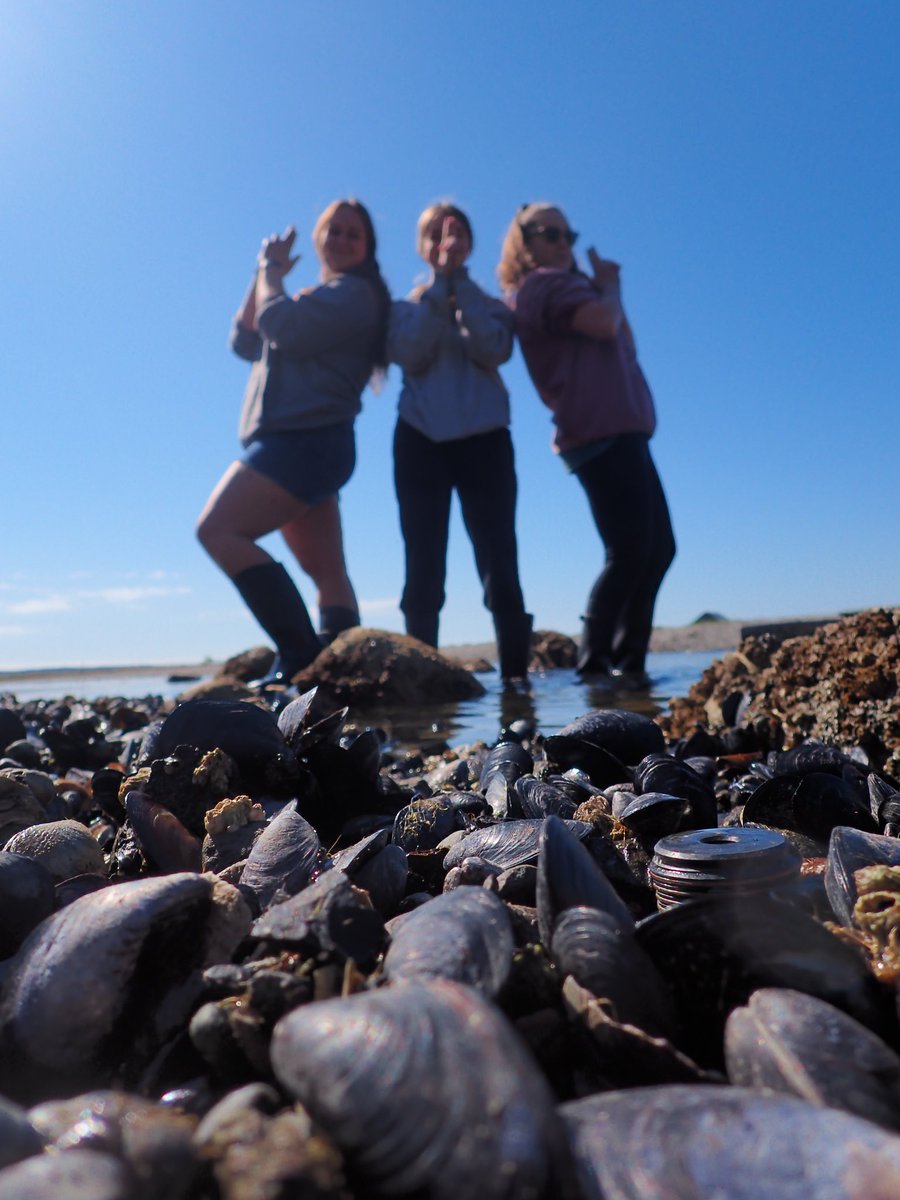The <a href="/carrington_lab/">Carrington Lab</a> Angels deployed another DO sensor! Can you spot it? 

<a href="/MarineBiol_FHL/">Friday Harbor Labs</a> <a href="/UWBiology/">UW Biology</a>