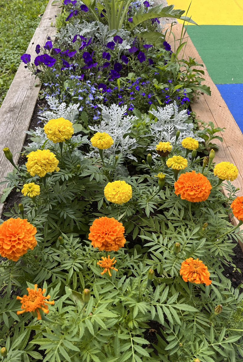 A huge thank you to Doorn’s Greenhouse and our wonderful SCC for their help on our beautiful garden!