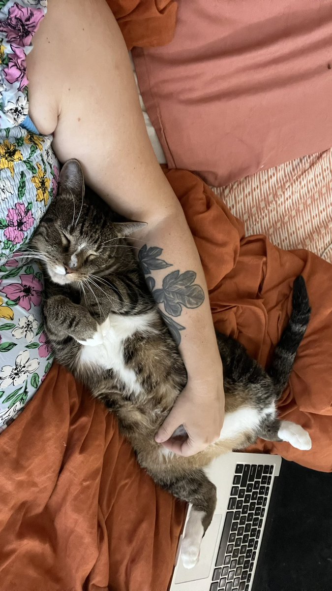 Val Bromann tweet media