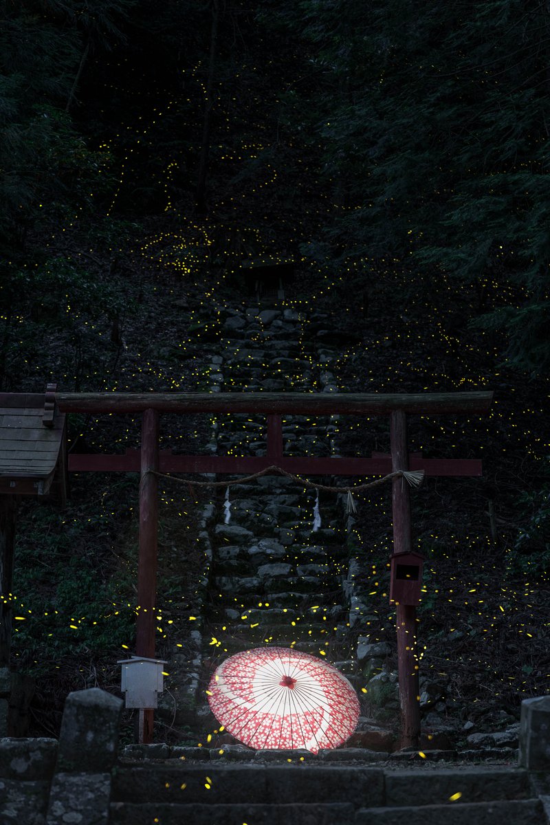 姫蛍の舞う古神社