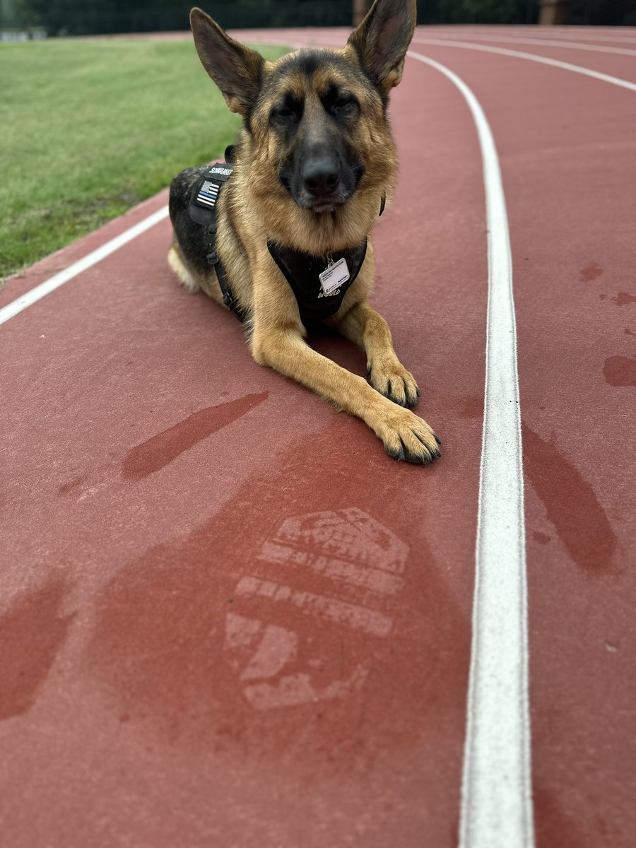 Schwarber (“McGwire”)’s favorite time of the week: <a href="/F3Metro/">F3 Charlotte Metro</a>’s Hangover. Thanks for the beatdown, <a href="/ccmiel/">Craig Cmiel</a>; he’s been most chill this afternoon. <a href="/F3Nation/">F3</a>