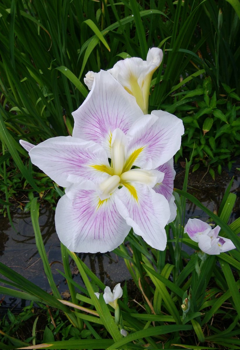 今日は雨、ゆっくりするか休養日だ。

女性高額収入 
 taa1341.web.fc2.com/ad3.html