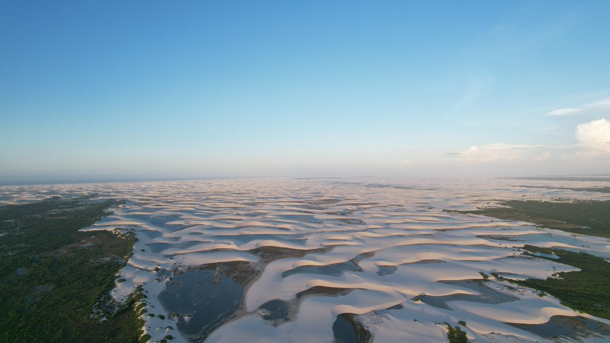 Márcio Mendes tweet media