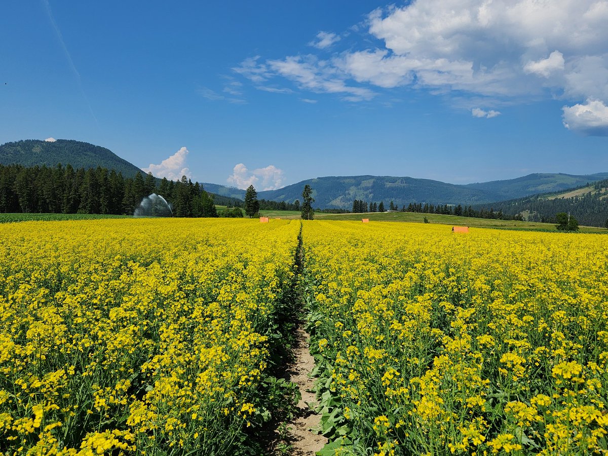 Uncle Jess tweet media