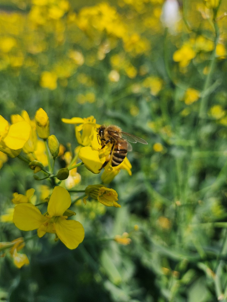 Uncle Jess tweet media