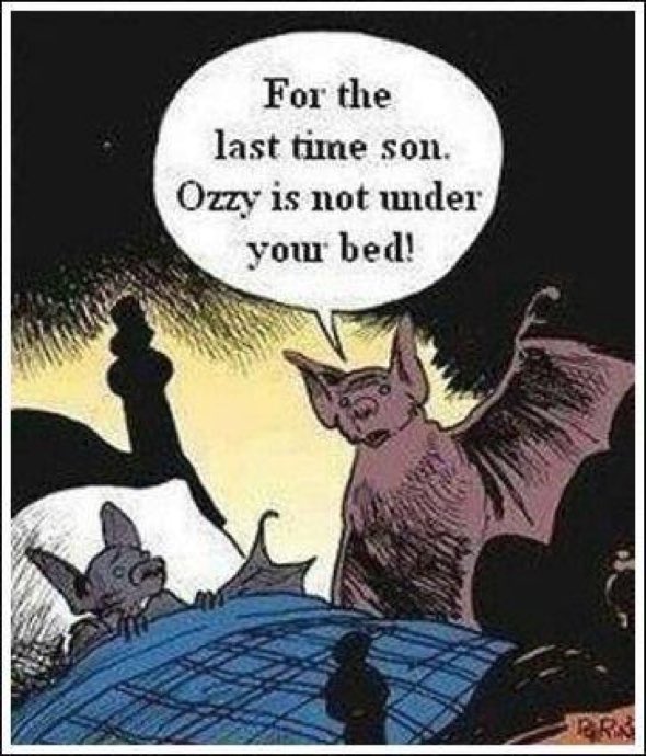 Lmao #Ozzy