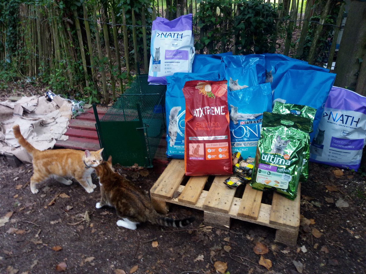 Espoar1's tweet photo. Vous vous souvenez de la dernière opération du collectif @Espoar1  avec @WeWardApp  ? Grâce à vos pas, cela a permis à l'association Adoption Féline Estuairede financer 200 kg de croquettes pour les chats de l'association. Bravo à tous !

@collectifchats @EthicsAnimals https://t.co/budRDIMnng