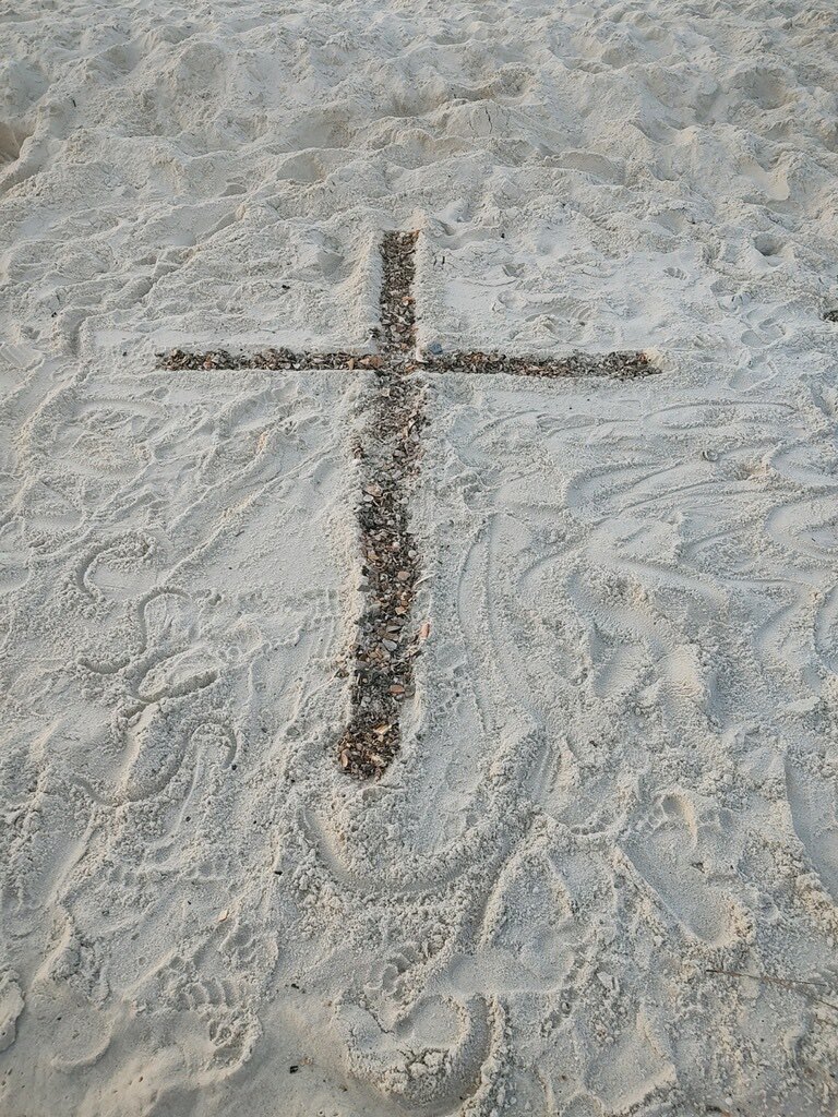 Jamie Harbin tweet media