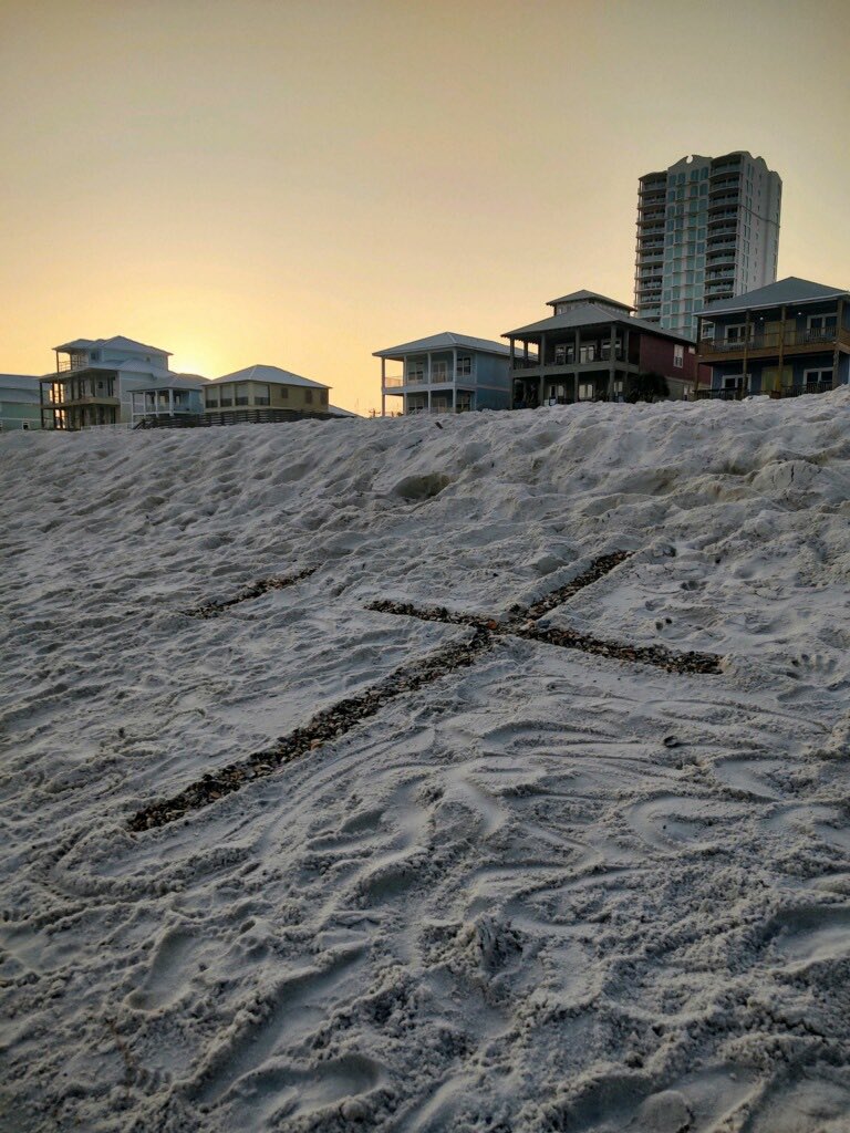 Jamie Harbin tweet media