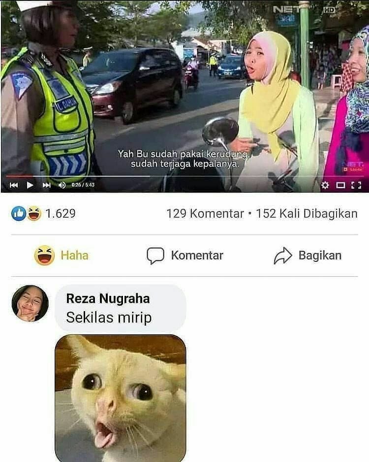 BERITA VIRAL tweet media