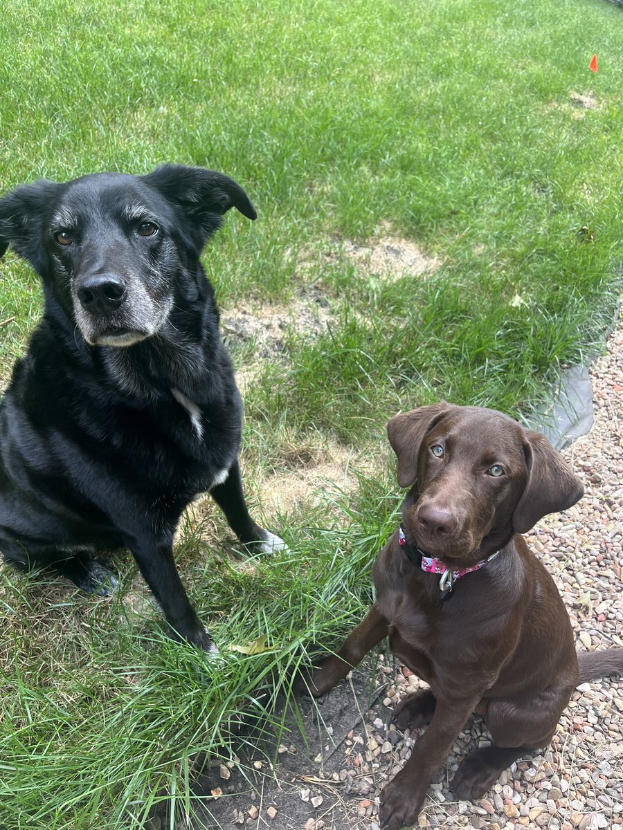 Pete is a great big brother.