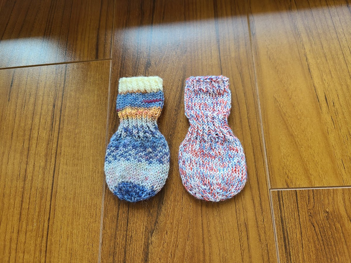 パピコのセーター