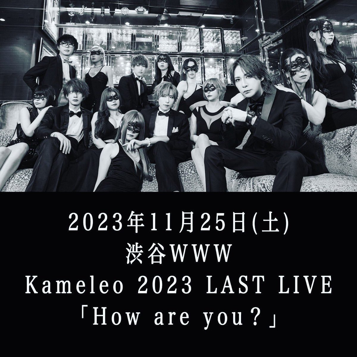 国内正規品】 カメレオ DVD LAST LIVE WE ARE KAMELEO 