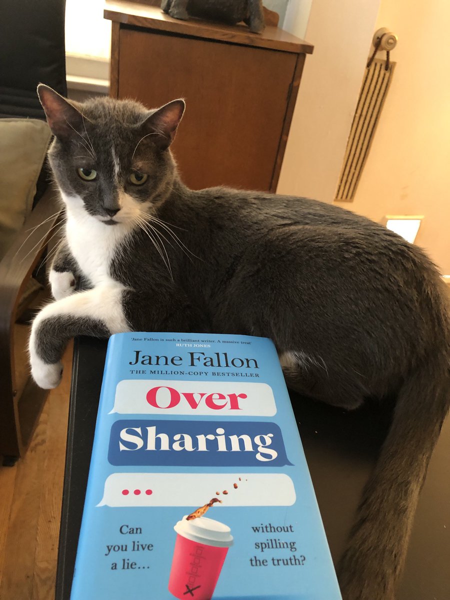 Promo Cat Zaz.  ⁦@JaneFallon⁩ #OverSharing #PromoPets