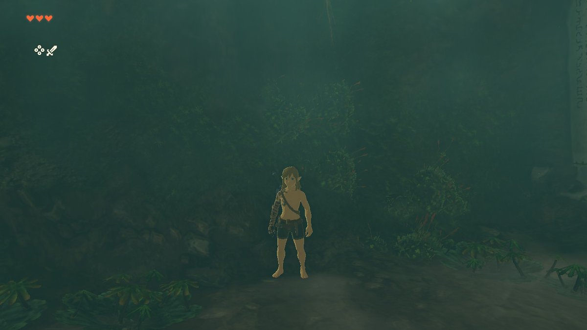 Guess what im playing #TearsOfTheKingdom #Zelda #NintendoSwitch