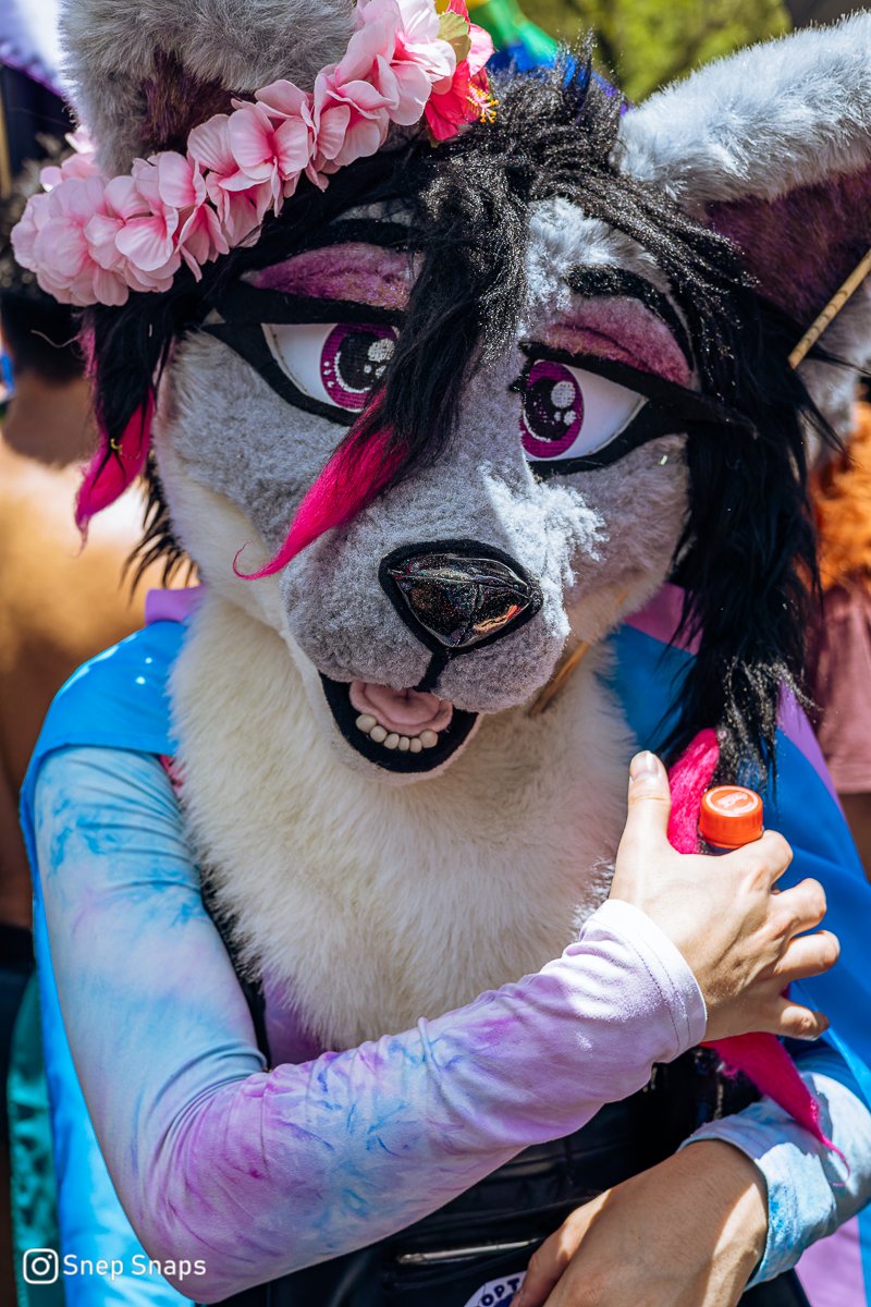 #FursuitFriday with a ver messy haired Shide at the Pride!! 

📸: <a href="/SnepSnaps/">Snep Snaps</a>

#furry #furryfandom