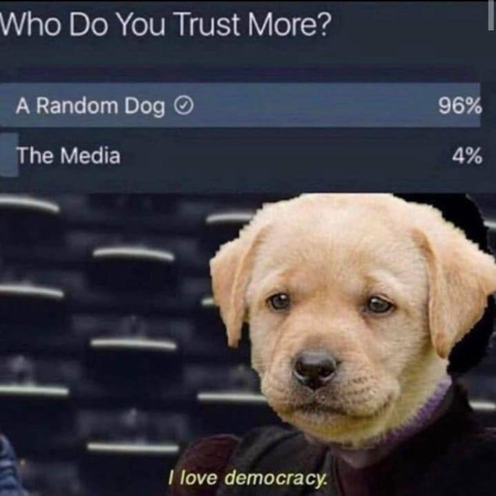 DogeDesigner tweet media