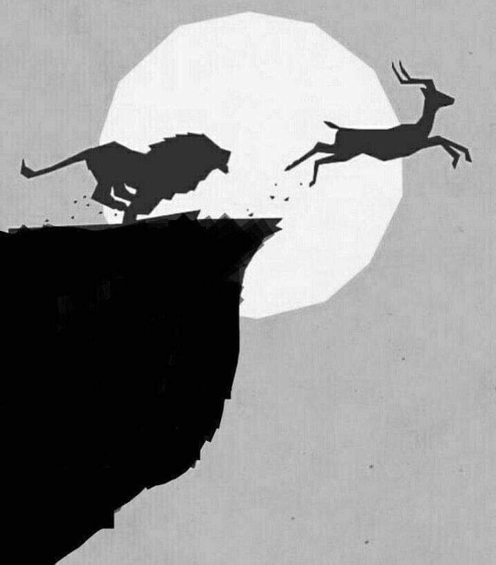 ahmad25736's tweet photo. 👈که دې له بایللو پرته بله چاره نه درلوده، نو داسې یې وبایله، چې دښمن دې هم ګټونکی نه شي👥 https://t.co/5lQ54y5myT