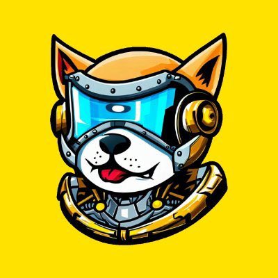 doge3.0 tweet media