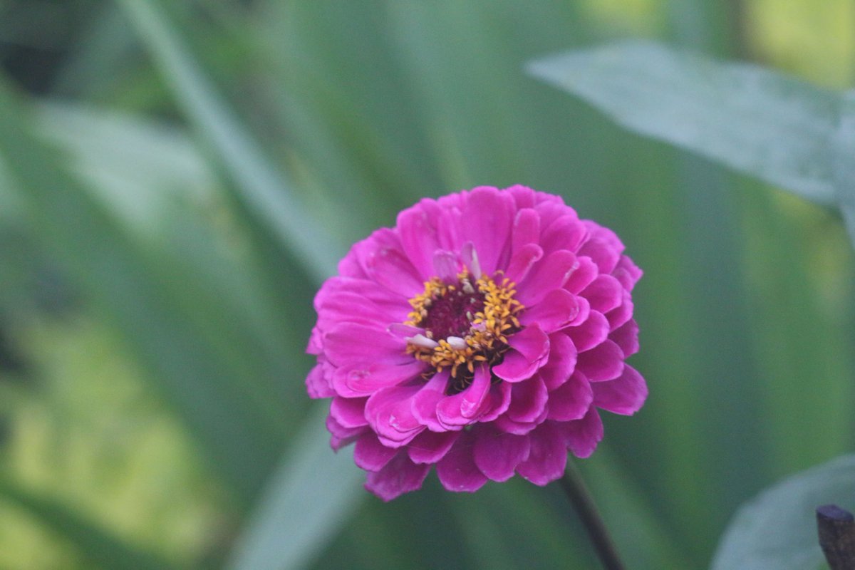 Every great achievement starts with the same first step: self-discipline.