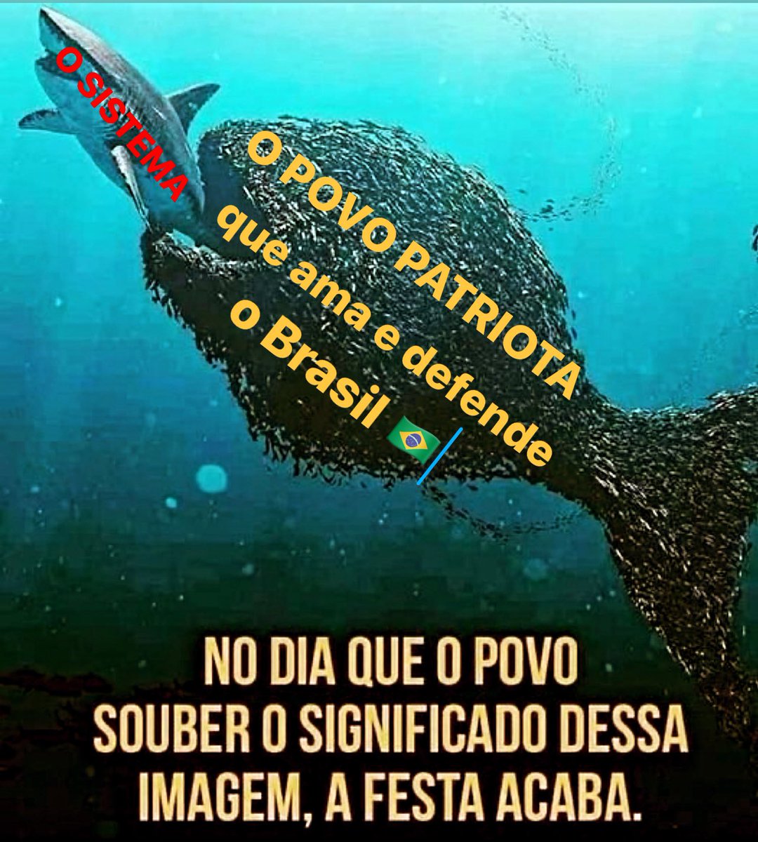 meintero's tweet image. ENTENDEU… 🇧🇷

Não é Bolsonaro que o sistema teme, o sistema teme o POVO. 
Por isso eles estão prendendo patriotas, calando jornalistas, comediantes, políticos e pessoas que reclamem ou questionem o sistema. Isso apenas para nos intimidar. 

Até quando?

#TodoPoderEmanaDoPovo