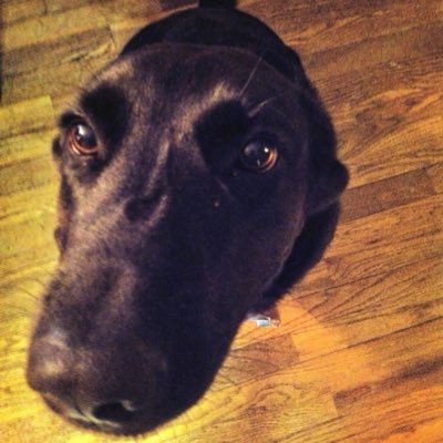 bitcoinbegger's tweet photo. open #bitbeg dispenser #dogecoin #dogeparty #xdp #2014nft
https://t.co/MkZXw5H2vX https://t.co/UgyQ7pn2il