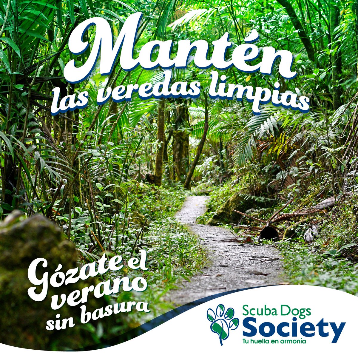 Las veredas nos conducen a espacios maravillosos para recrearnos y ejercitarnos. Deja en ellas solo las huellas de tus pasos. #LlévateLaBasura #ConservaLosRecursos #ProtegeLasEspecies #NoAPlásticosDe1SoloUso #NoAlFoam
#GózateElVeranoSinBasura #TuHuellaEnArmonía