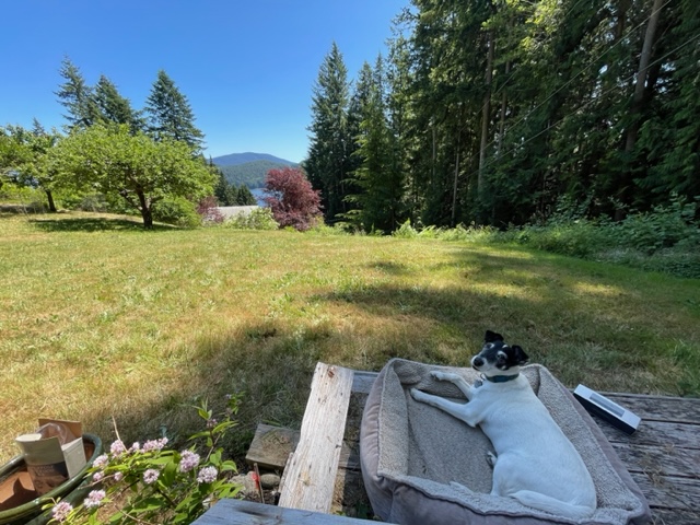 LittleDogCC's tweet photo. Winny says...check out the August 2023 deadlines as well ;-) https://t.co/pEAz63Hk3c https://t.co/BnGvpKb1YY