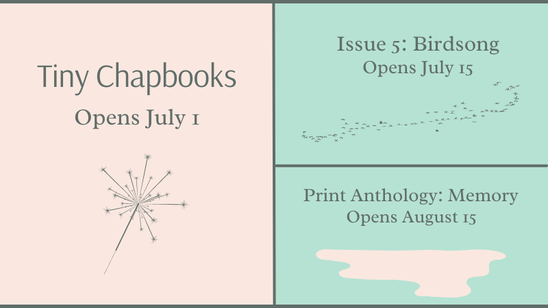 Who needs some summer plans? #SummerSubs