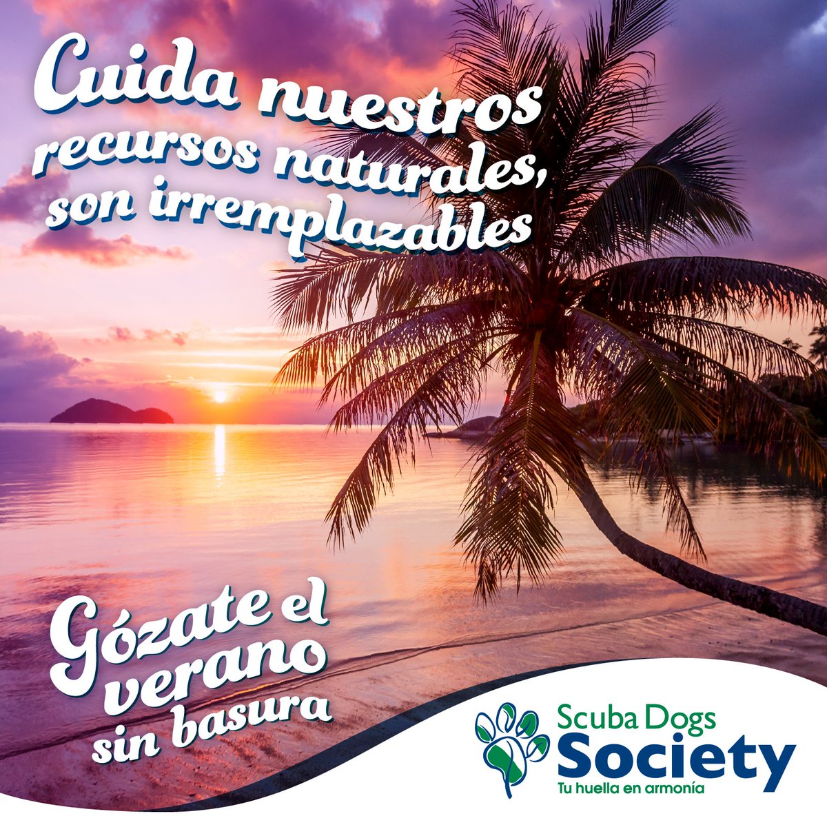 Un chapuzón en el río o cualquier otro cuerpo de agua es lo ideal para este calor del verano. Solo recuerda dejar los espacios naturales en mejor estado de lo que los encontraste. #LlévateLaBasura #NoaPlásticosDe1SoloUso
#GózateElVeranoSinBasura #TuHuellaEnArmonía