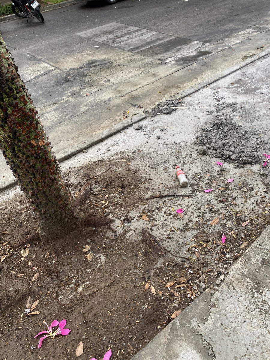 diegogum's tweet photo. Más de 10 obras en la colonia y sólo ésta incumple con las normas, ¿raro o demasiado obvio? @PabloLemusN @EnriqueAlfaroR @GobiernoJalisco @PoderAG_Jal @arboristgdl @viveprovi @GuadalajaraGob @SOS_Mural @muralcom @Countryclubgdl @JuanJoseFrangie @pkumamoto https://t.co/g4JR0fpibn