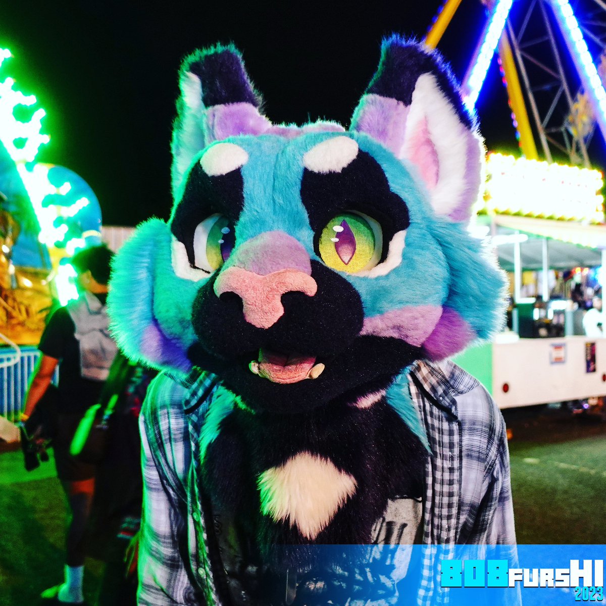 808FursHI's tweet photo. Happy #FursuitFriday from Hawaii 🤙🏻
#808FursHI #808Furs #HawaiiFur #Fursuit #Fursuiting #Furry #808FurryEvents #Hawaii #FursuitFriday #Night #Glow #RGB #50thstatefair https://t.co/6RQzMHZZTg