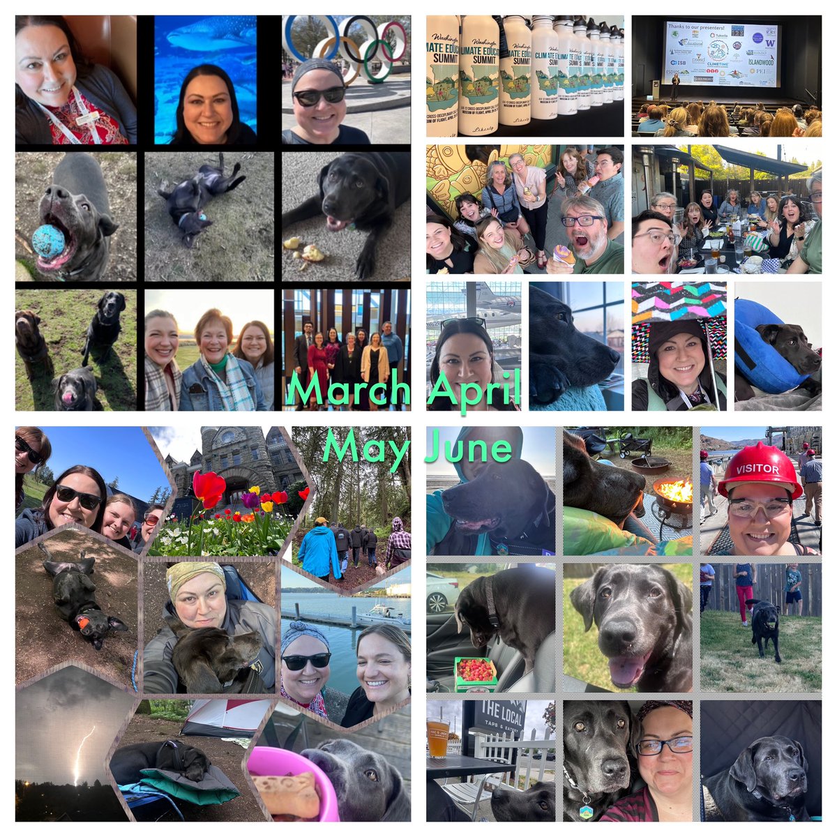 Month 12 in Washington ✅

We’ve had lots of adventures over the past 12 months! Thankful for all the wonderful people we’ve met and beautiful places we’ve seen! 

Here’s looking to the future! Who know what that’ll bring ❤️